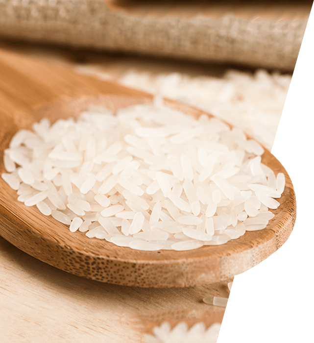 Non Basmati Rice Suppliers