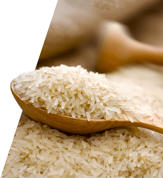 Short Grain White Rice